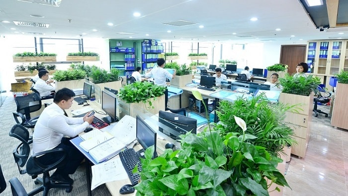 Thiết kế văn phòng xanh giúp tăng sự tập trung cho nhân sự
