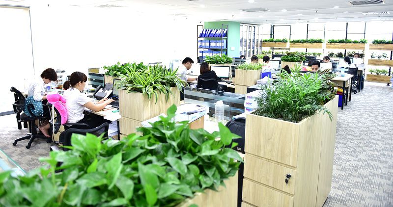 Thiết kế văn phòng xanh giúp tăng hiệu suất công việc